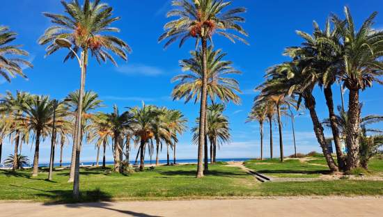 Local en venta en Alboraya, Valencia