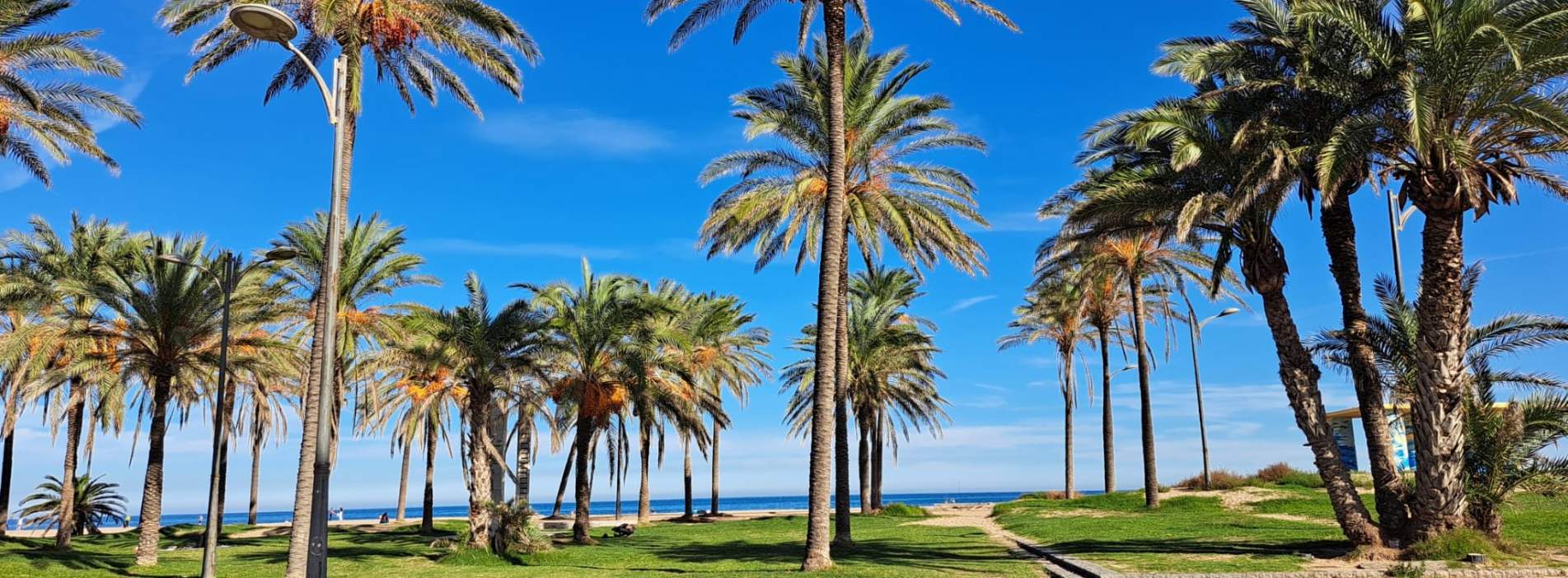 Local en venta en Alboraya, Valencia