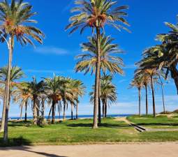 Local en venta en Alboraya, Valencia