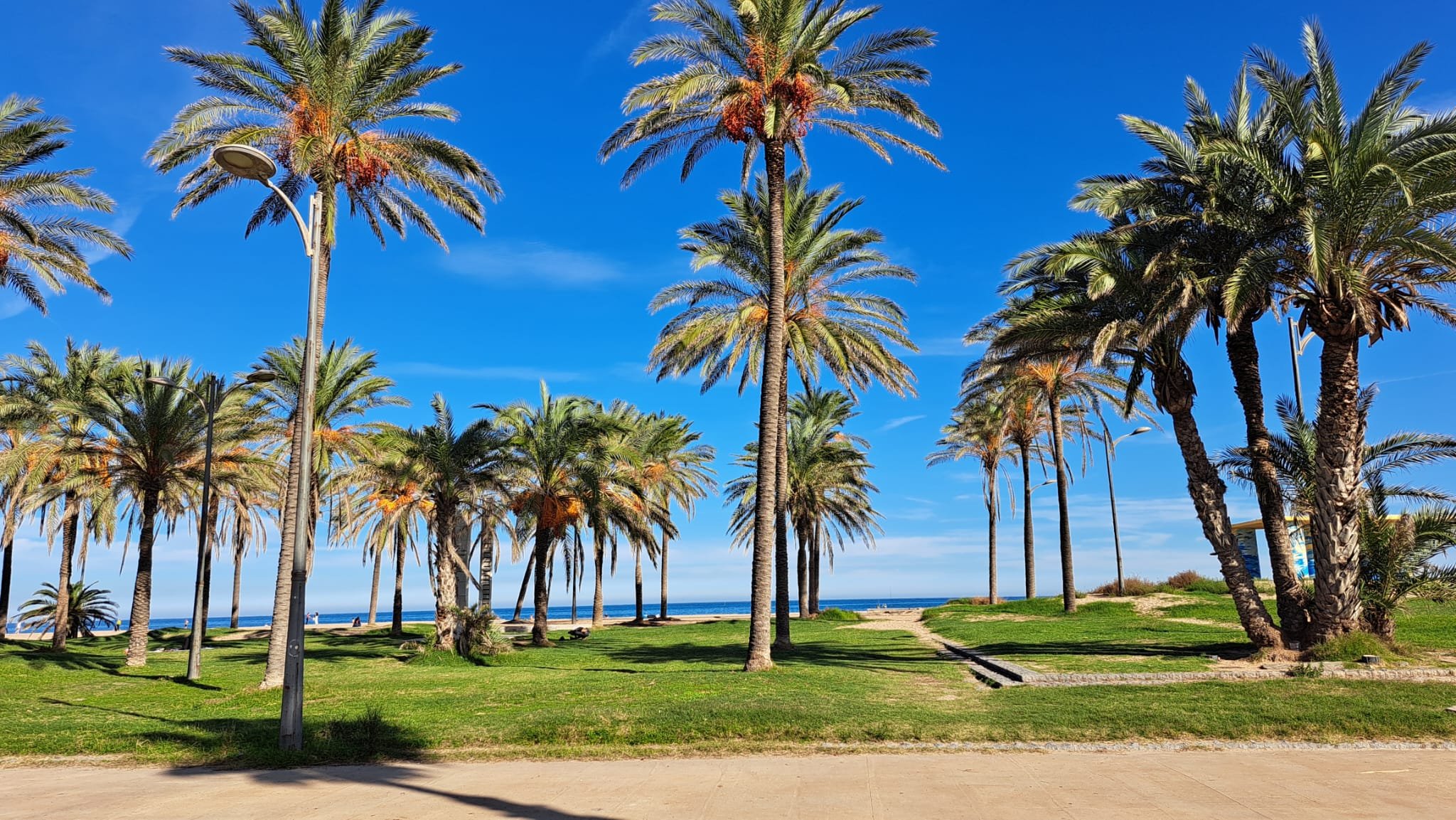 Local en venta en Alboraya, Valencia