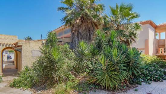 Local en venta en Calle Cipreses Cartagena Murcia