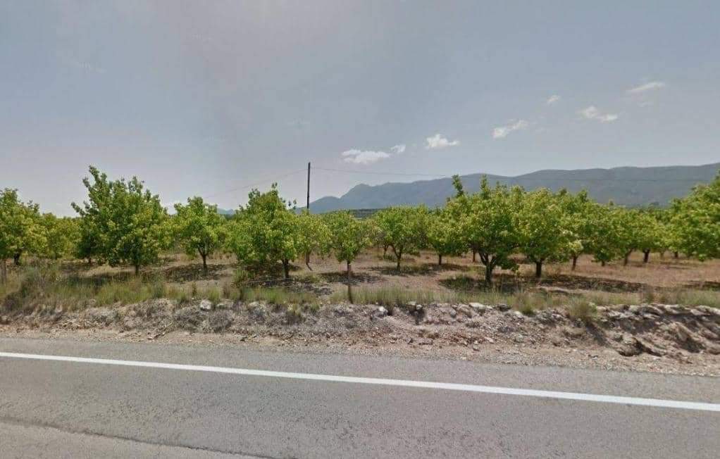 No Urbanizable Rstico en venta  en Calle Poligono 3 Parcela 158 Blgida Valencia