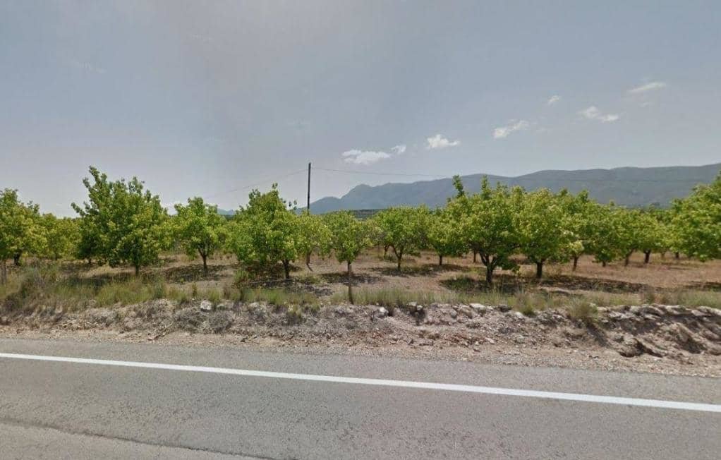 No Urbanizable Rstico en venta  en Calle Poligono 3 Parcela 158 Blgida Valencia
