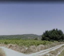 No Urbanizable Rstico en venta  en  Cabaes Llombai Valencia