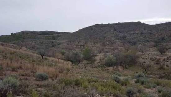 No Urbanizable Rstico en venta  en Polgono 208 Lorca Murcia