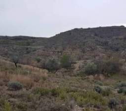 No Urbanizable Rstico en venta  en Polgono 208 Lorca Murcia