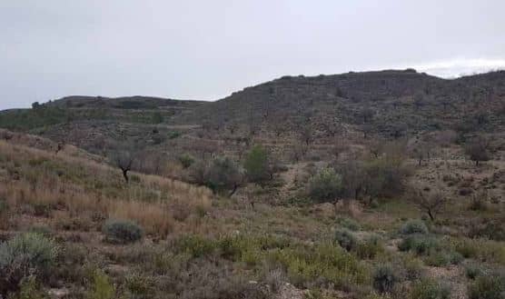 No Urbanizable Rstico en venta  en Polgono 208 Lorca Murcia