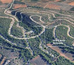 Terreno Urbano en venta en Almenara, Castellón