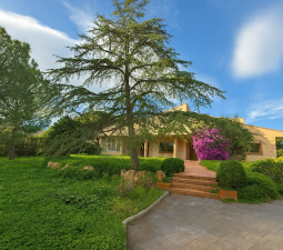 Chalet en venta en Alfinach, Valencia