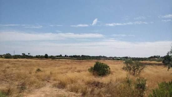 Urbanizable Programado en venta  en Calle Senda De La Pobla Btera Valencia