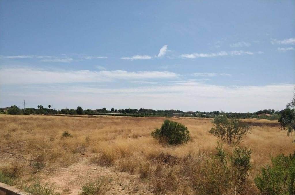 Urbanizable Programado en venta  en Calle Senda De La Pobla Btera Valencia