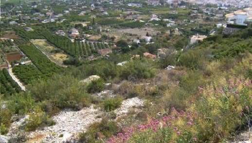 Solar en venta en Calle Riu Xuquer Pedreguer Alicante