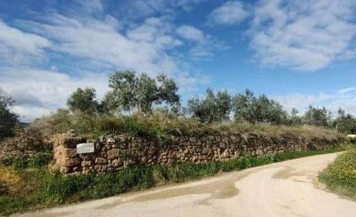 Terreno en venta en Chelva, Valencia