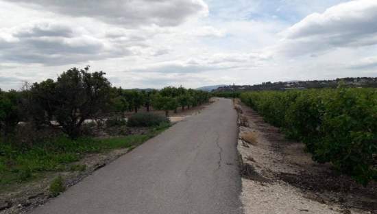 No Urbanizable Rstico en venta  en Pasaje Fondos Alberic Valencia