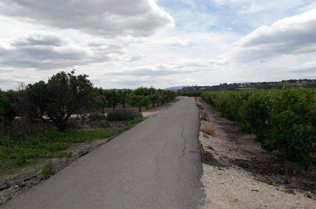 No Urbanizable Rstico en venta  en Pasaje Fondos Alberic Valencia