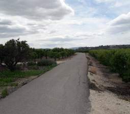 No Urbanizable Rstico en venta  en Pasaje Fondos Alberic Valencia