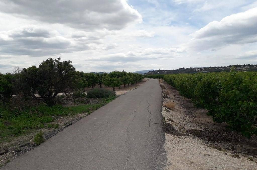No Urbanizable Rstico en venta  en Pasaje Fondos Alberic Valencia