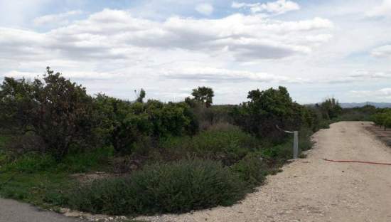 No Urbanizable Rstico en venta  en Pasaje Fondos Alberic Valencia