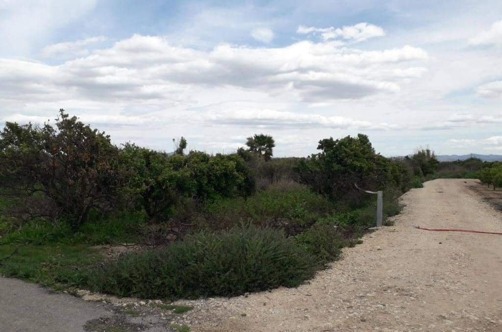 No Urbanizable Rstico en venta  en Pasaje Fondos Alberic Valencia