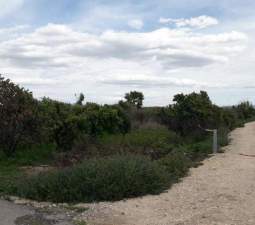No Urbanizable Rstico en venta  en Pasaje Fondos Alberic Valencia