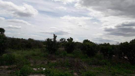No Urbanizable Rstico en venta  en Pasaje Fondos Alberic Valencia