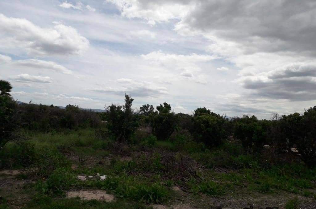No Urbanizable Rstico en venta  en Pasaje Fondos Alberic Valencia