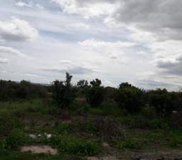 No Urbanizable Rstico en venta  en Pasaje Fondos Alberic Valencia