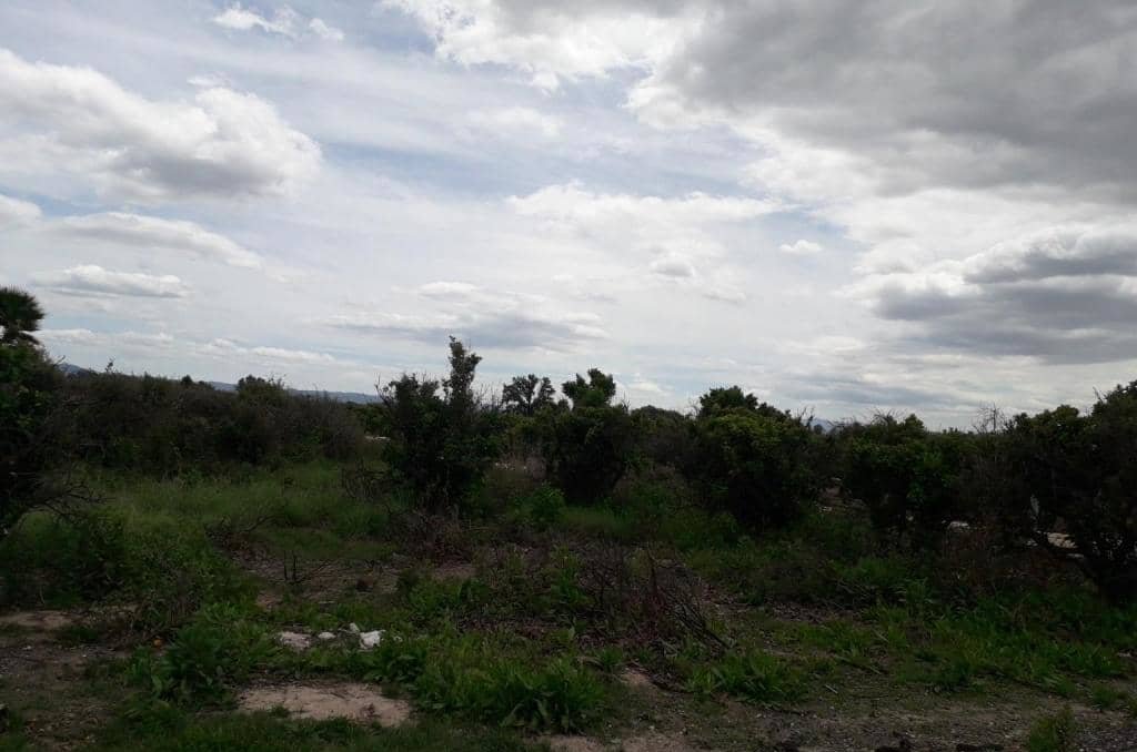 No Urbanizable Rstico en venta  en Pasaje Fondos Alberic Valencia