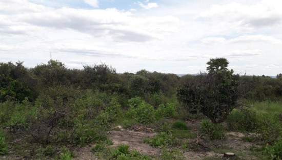 No Urbanizable Rstico en venta  en Pasaje Fondos Alberic Valencia
