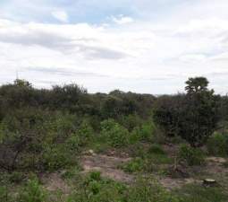 No Urbanizable Rstico en venta  en Pasaje Fondos Alberic Valencia