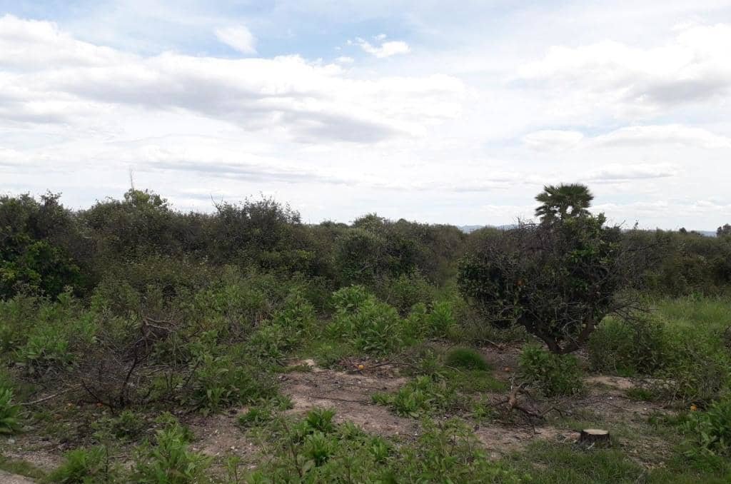 No Urbanizable Rstico en venta  en Pasaje Fondos Alberic Valencia