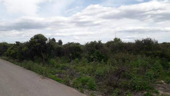 No Urbanizable Rstico en venta  en Pasaje Fondos Alberic Valencia