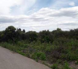 No Urbanizable Rstico en venta  en Pasaje Fondos Alberic Valencia
