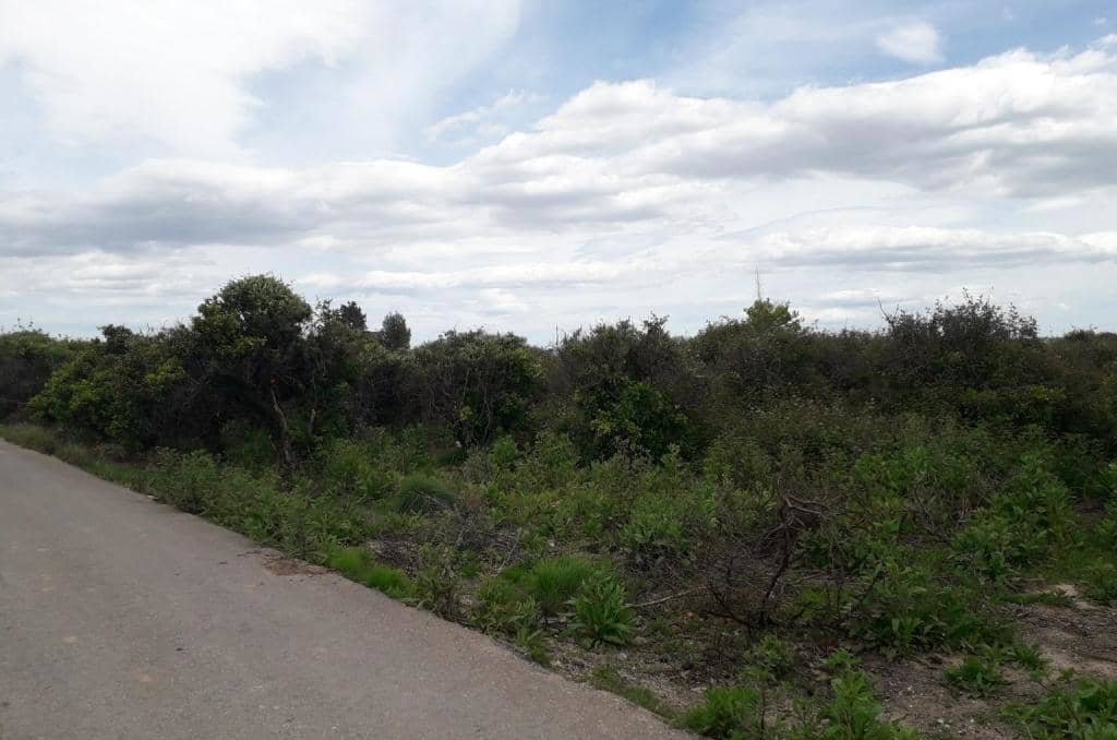 No Urbanizable Rstico en venta  en Pasaje Fondos Alberic Valencia
