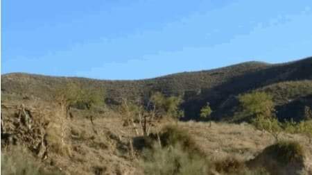 No Urbanizable Rstico en venta  en Lugar Paraje El Campico Puerto Lumbreras Murcia