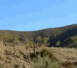 No Urbanizable Rstico en venta  en Lugar Paraje El Campico Puerto Lumbreras Murcia