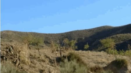 No Urbanizable Rstico en venta  en Lugar Paraje El Campico Puerto Lumbreras Murcia