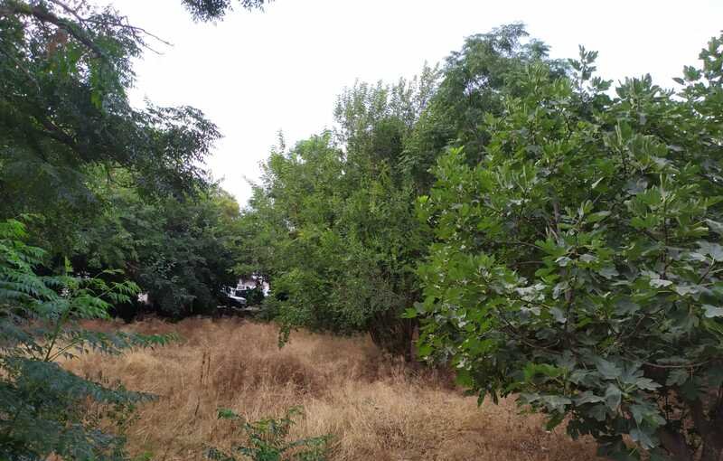 Adquiere suelo urbanizable residencial por 89200 de 1383m en ccarril torre de los ibaez en Murcia