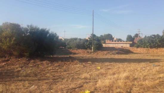 Urbanizable Programado en venta  en Avenida Jose Ortiz Almazora Castelln