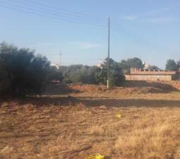 Urbanizable Programado en venta  en Avenida Jose Ortiz Almazora Castelln