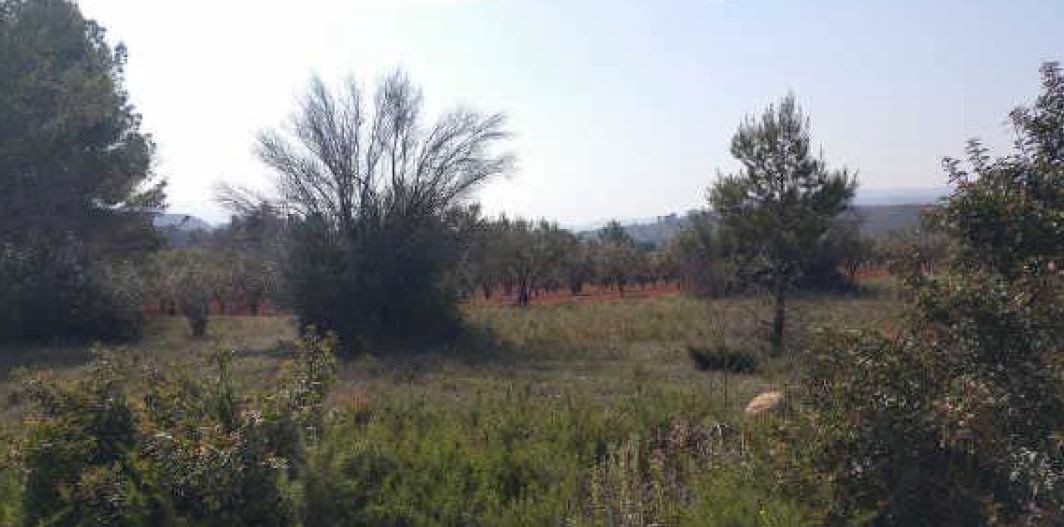 Suelo Rstico No Urbanizable en venta en Urbanizacin Llanorel Macastre Valencia