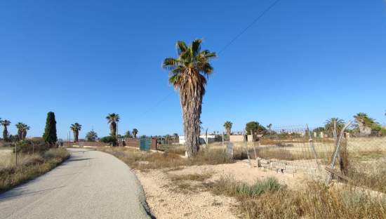 Suelo urbano en C Tres Molinos, Gea y Truyols Murcia