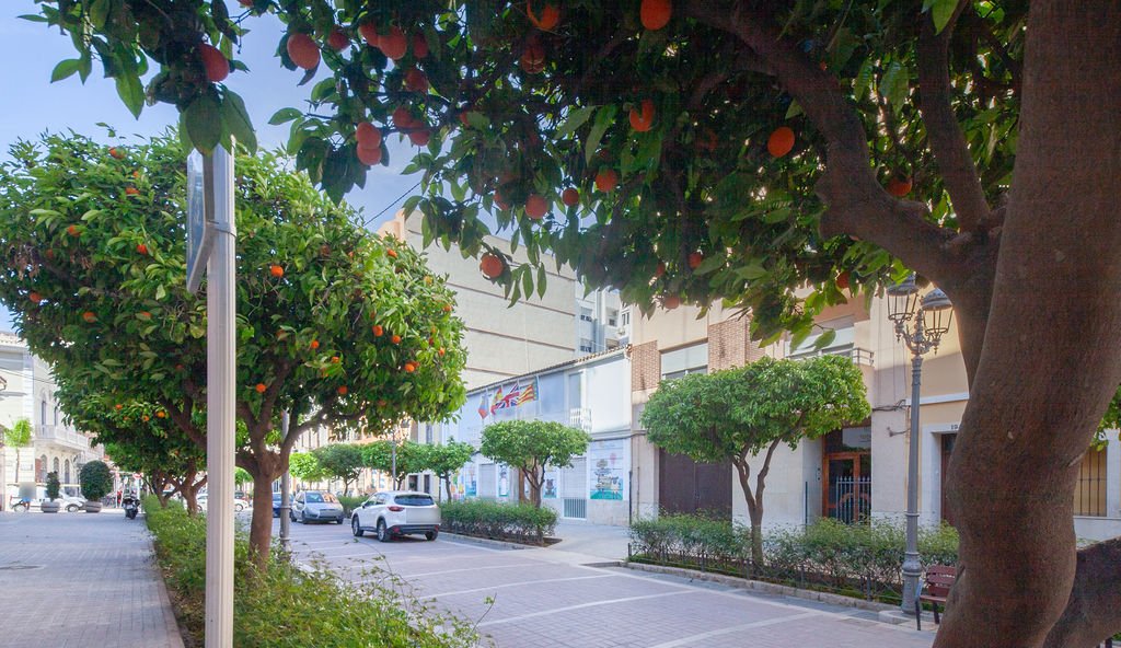 Piso en venta en Moncada, Valencia