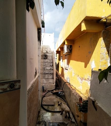 Piso a la venta en calle pl Castelln de la PlanaCastell de la Plana por 23000 de 56m y 2 habitaciones