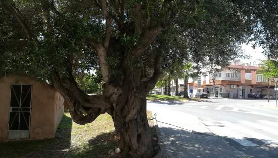 Garaje en venta en Masamagrell, Valencia