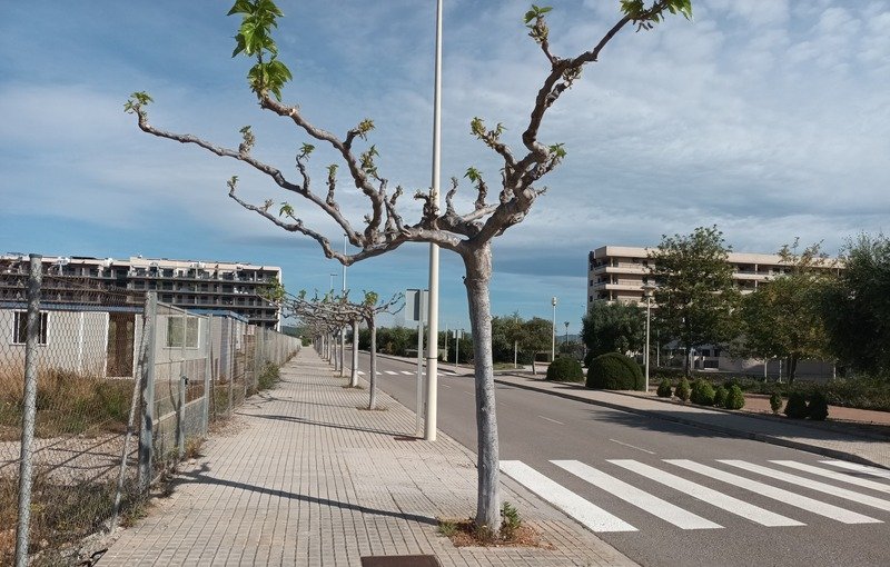 Terreno Urbano en venta en Torreblanca, Castellón