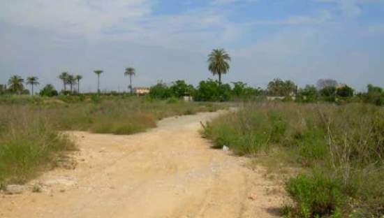 Suelo otros Carcaixent