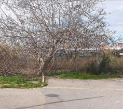 Terreno Urbano en venta en Sueca, Valencia
