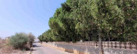 Suelo urbano no consolidado en C José Rivera Forner - Oropesa -