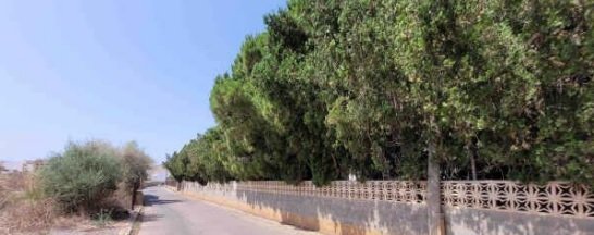 Suelo urbano no consolidado en C José Rivera Forner - Oropesa -